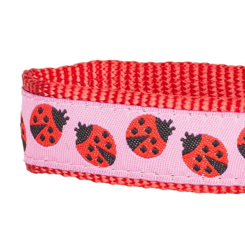 Blueberry Pet Dog Collar Ladybug Designer 2.5 cm L Basic Polyester Nylon Dog Collar Regular Collar - Large Ladybug - PawsPlanet Australia