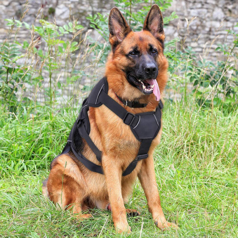 [Australia] - rabbitgoo Large Dog Harness with Handle for Lifting, No Pull and Adjustable Padded Heavy Duty Vest Harness for Dogs Easy Control, Outdoor Pet Vest with Reflective Stripe for Walking and Training L: Fits Large Dogs (Chest: 19.7” - 35.4”) 
