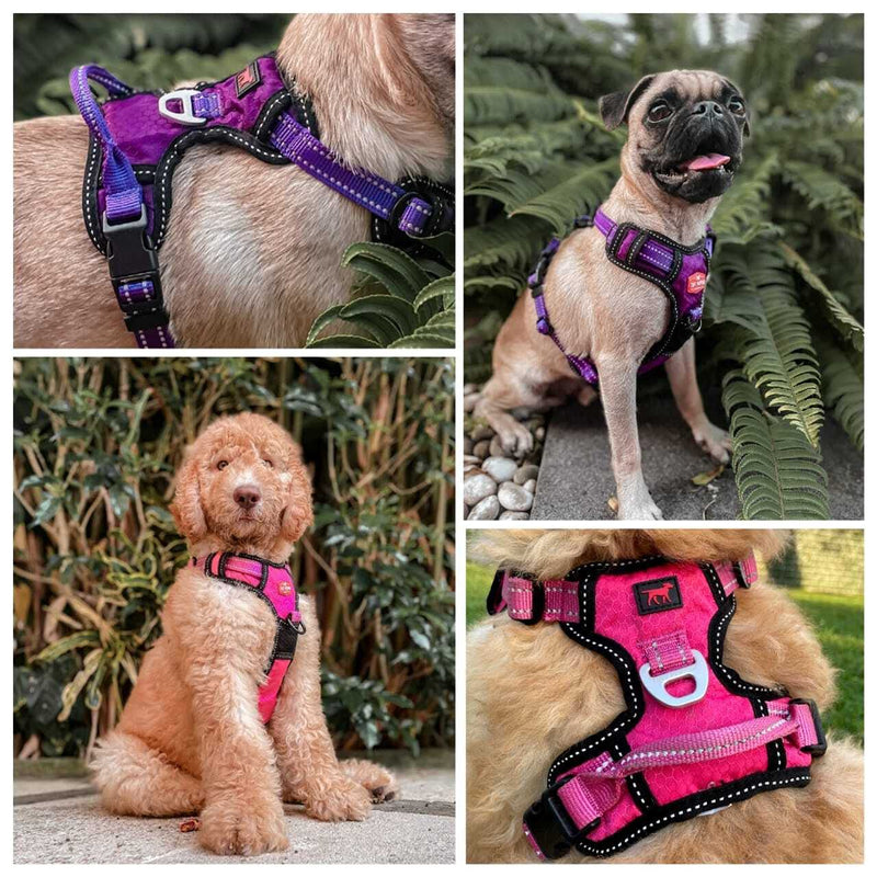 Upgraded for 2022 - Metro No Pull Dog Harness | Reflective Dog Harness | Front/Back Leash Clips | Safety Handle | Padded Training Dog Harness for Comfort | Adjustable Small Medium Extra Large Dogs Small (Neck: 12-17" , Chest: 15-19") Epic Black - PawsPlanet Australia