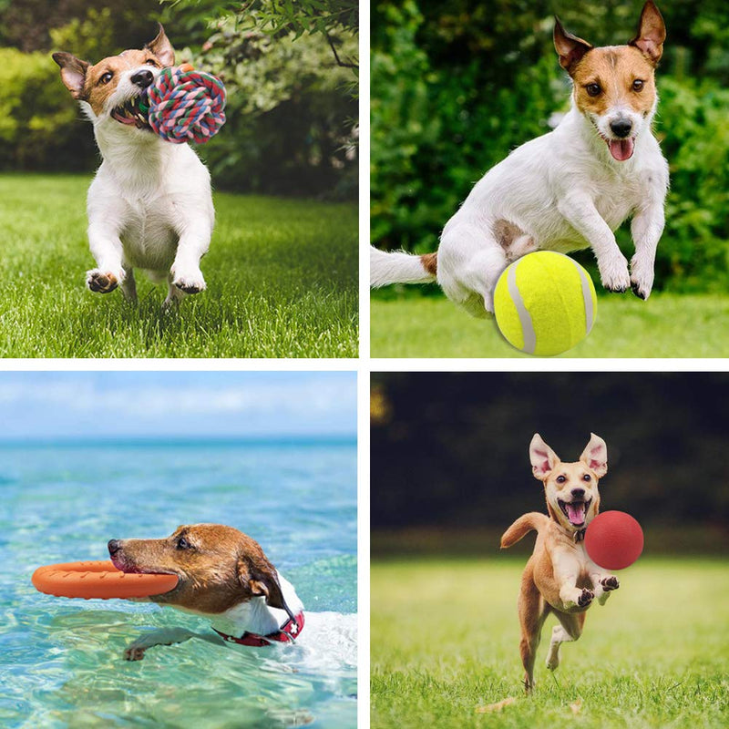 Puppy Dog Ball Toys Sports Sets Chase Play for Small Medium Dog EVA Bounce Rubber Tennis Ball Water Floating Ring for Fetch Interactive Swimming IQ Training Chewing Teething Outdoor Activity, 4 Pack - PawsPlanet Australia