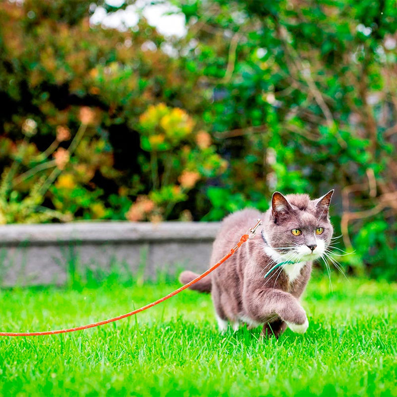 OFPUPPY Reflective Cat Leash - 26 FT Nylon Braided Cat Lead for Outside, Escape Proof Walking Long Cat Tie Out Pet Rope Leash, Orange Black - PawsPlanet Australia