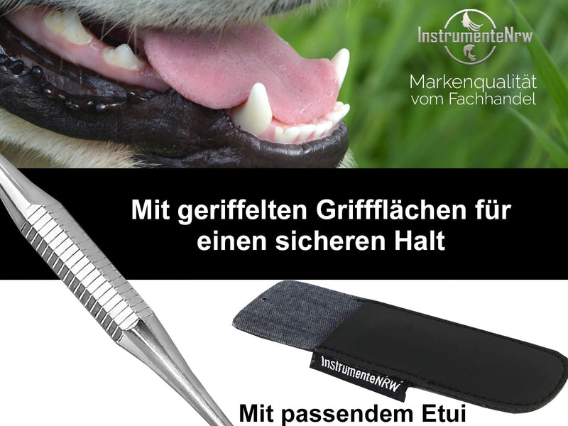 Dog Mini Tartar Scraper with Protective Case Ideal for Travel Pet Dental Care Tooth Cleaner for Animals Toothbrush Alternative Made of Stainless Steel - PawsPlanet Australia