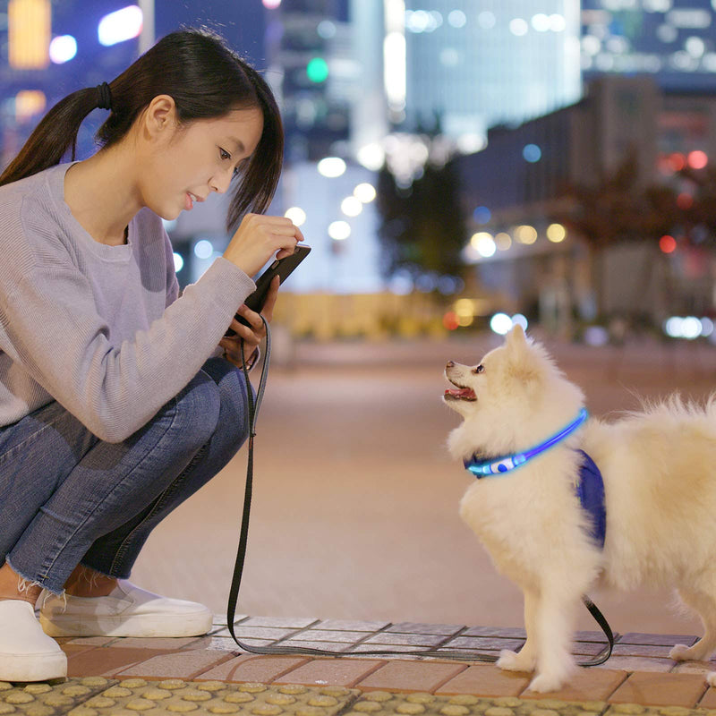 LED Dog Collar Glow Light Collar for Dogs Bright USB Rechargeable Pet Collar Light Cuttable to Fit Most Pets Increase Visibility and Safety for Pets Night Walking (Blue) - PawsPlanet Australia