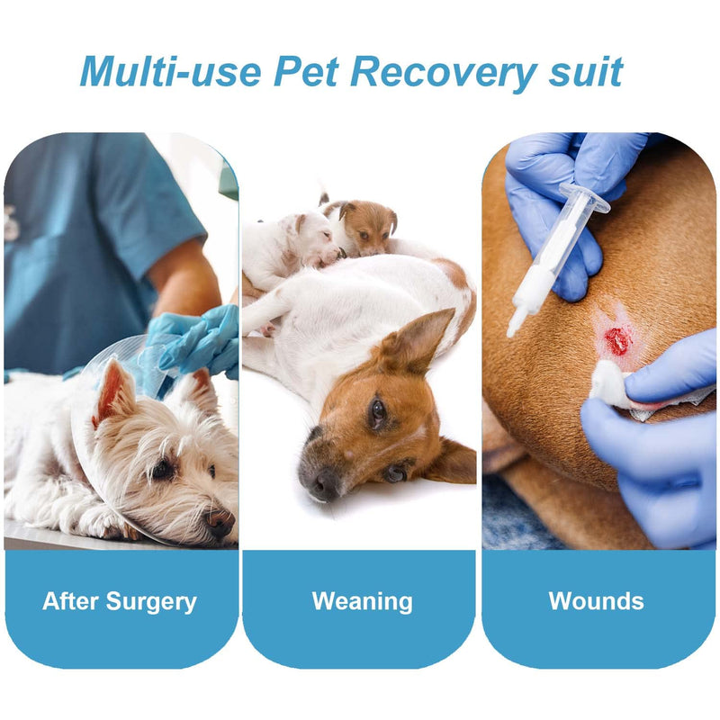 Due Felice Dog Surgical Onesie Recovery Suit for Female Male Small Medium Dog After Surgery Bodysuits Pet Cone E-Collar Alternative Black Plaid/X-Small X-Small - PawsPlanet Australia