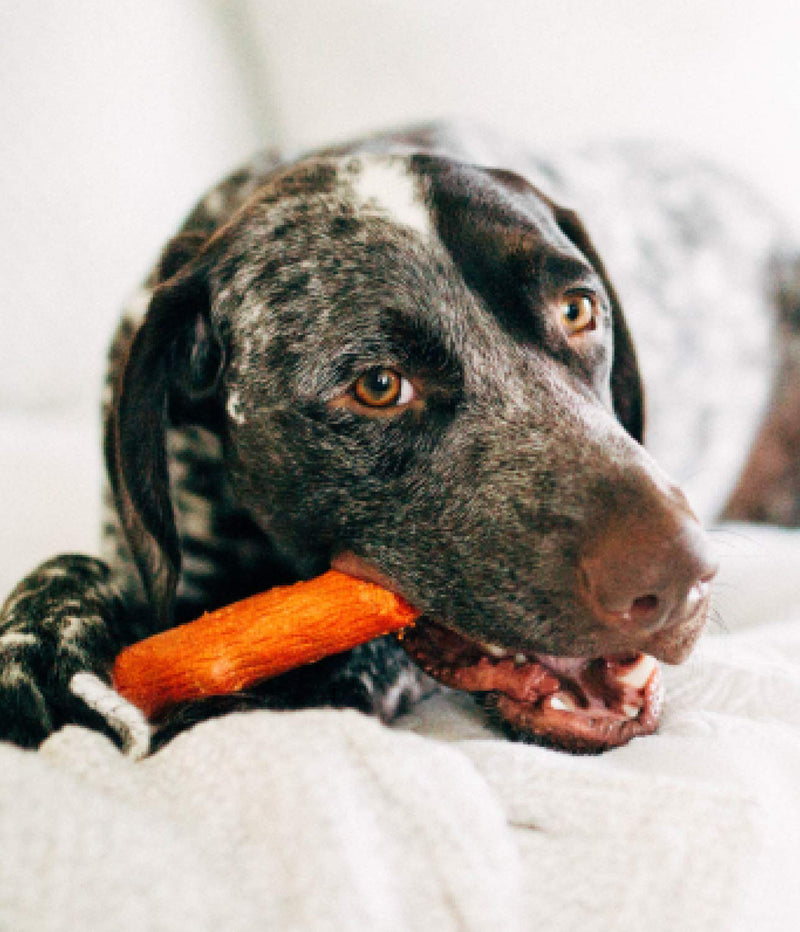 [Australia] - Petstages Dogwood Original & Mesquite Stick Dog Chew Toy - 2 Pack – Safe, Natural & Healthy Chewable Sticks - Tough Real Wood Chewing Stick for Dogs 