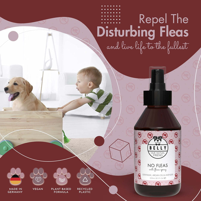 Belly Dog Flea Spray - An Ideal Puppy Flea Treatment Dog Spray - Natural Flea Treatment for Dogs - Dog Flea Treatment for Puppies - An Alternative To Flea Dog Collar & Flea Shampoo for Dogs, 250 ml - PawsPlanet Australia