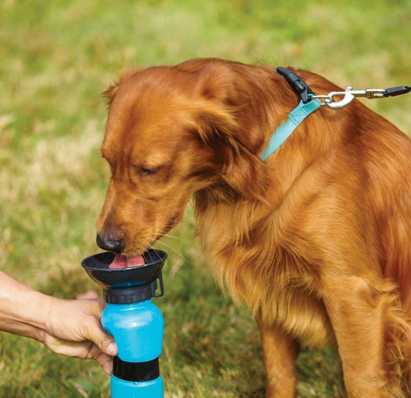 Pet Water Bottle and Food Container,Tianher 3pcs Portable Dispenser and Food Container for Travel 2-in-1&Squeeze Drinking Bottle&Folding Silicone Pet slow food bowl for Outdoor Travel Take a Walk - PawsPlanet Australia