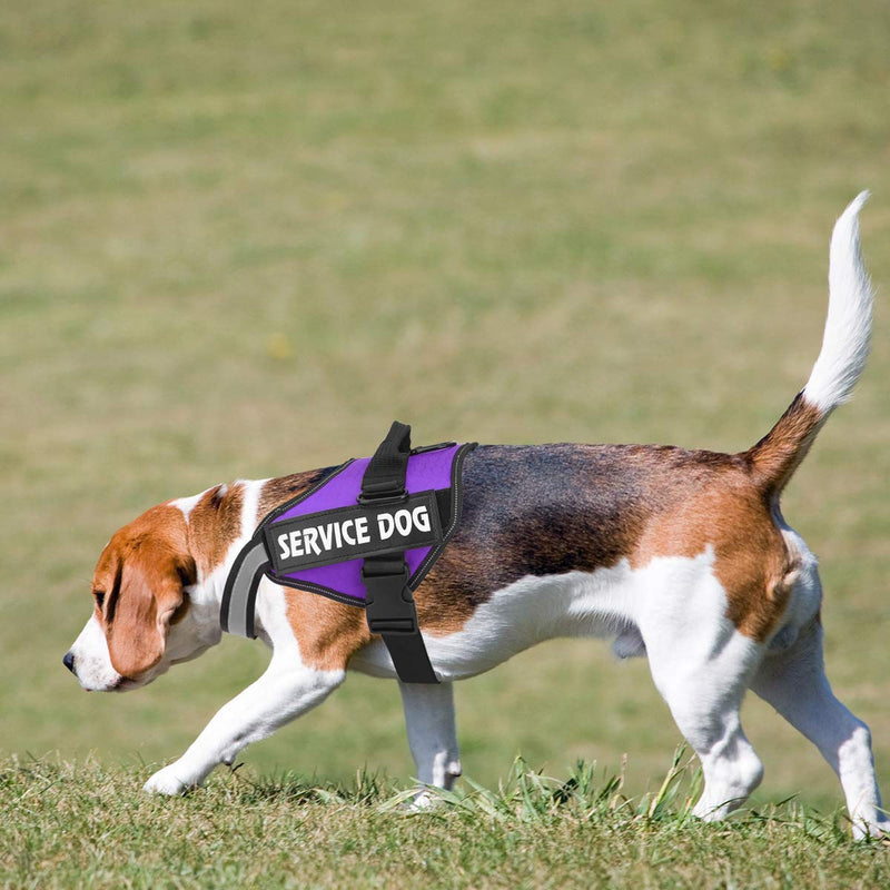 [Australia] - MUMUPET Service Dog Harness, No Pull Easy On and Off Pet Vest Harness, 3M Reflective Breathable & Easy Adjust Pet Halters with Nylon Handle - No More Tugging or Choking for Small Medium Large Dogs S: Chest 16-22" (41-57cm) Purple 