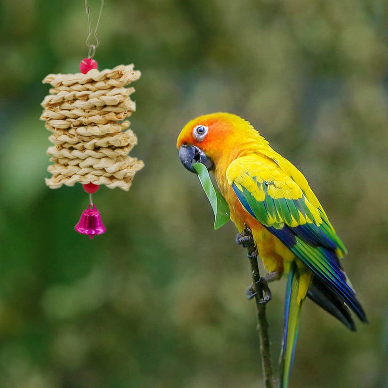 suruikei 2 Pack Bird Perch Platform, Parrot Stand Sector Playground Wood Perch Stand Toy Cage Accessories Exercise Toy for Parakeet Conure Cockatiel Budgie Gerbil Rat Mouse Chinchilla Hamster Set 2 - PawsPlanet Australia