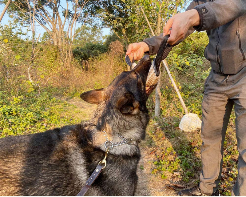 AWE WOLF Leather Dog Leash 6 FT Super Soft and Strong Genuine Leather Leash Bronze Clasp for Extra Large Dogs Dog Training Leash - PawsPlanet Australia