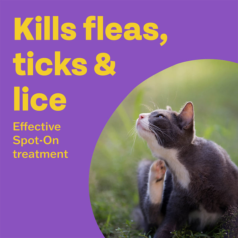 Bob Martin Clear Plus | Spot On Flea Treatment for Cats & Ferrets | Instantly Kills Fleas, Ticks, Lice & Flea Eggs (3 Pipettes) - PawsPlanet Australia