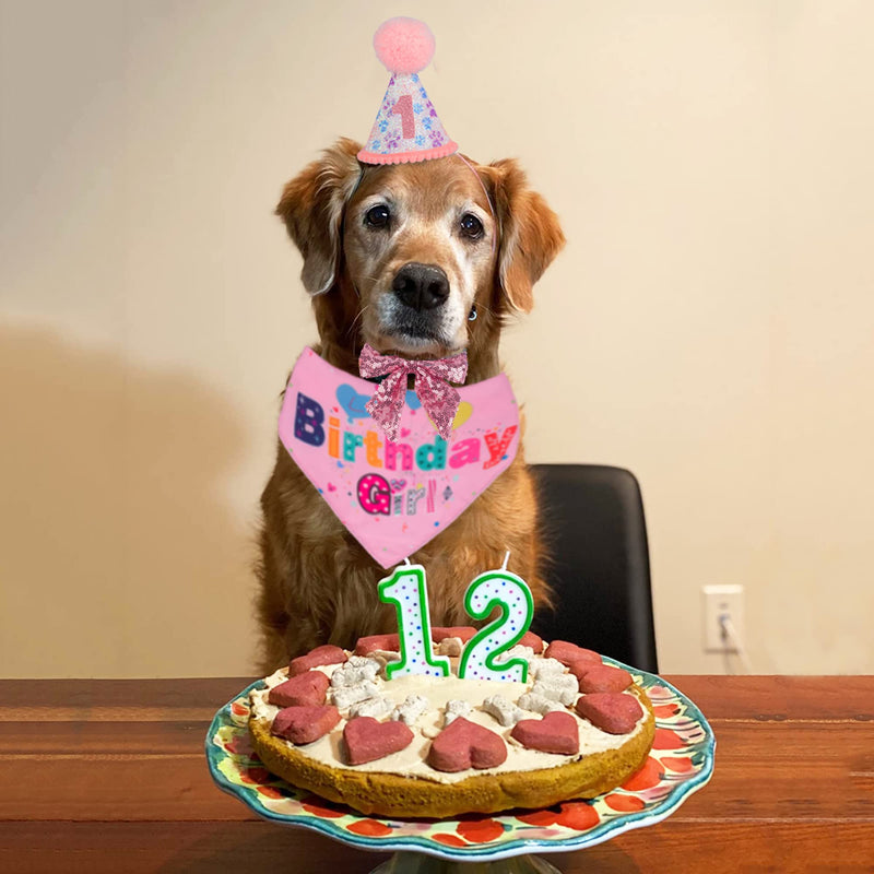 Dog Birthday Party Supplies, Boy Girl Dog Birthday Hat with Numbers Dog Puppy Birthday Bandana Hat Bow Set Pink - PawsPlanet Australia