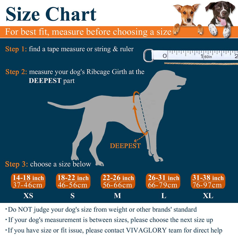 Vivaglory Dog Life Jacket Adjustable Buckle Dog Safety Vest Pet Lifesaver Coat, Extra Small, Blue XS: 35-43cm (Ribcage Girth) - PawsPlanet Australia