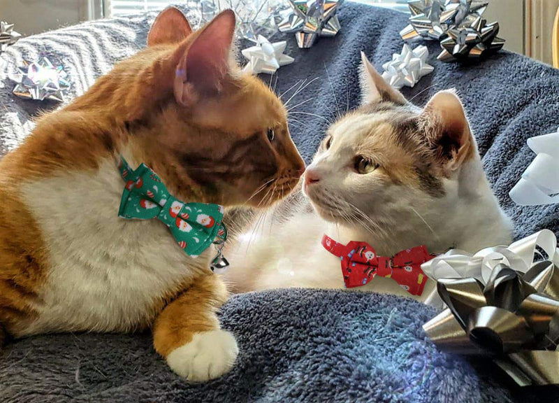 [Australia] - Pawskido Christmas Cat Collar Bowtie, 2 Pack Bow Tie Breakaway Kitten Collar with Bell 