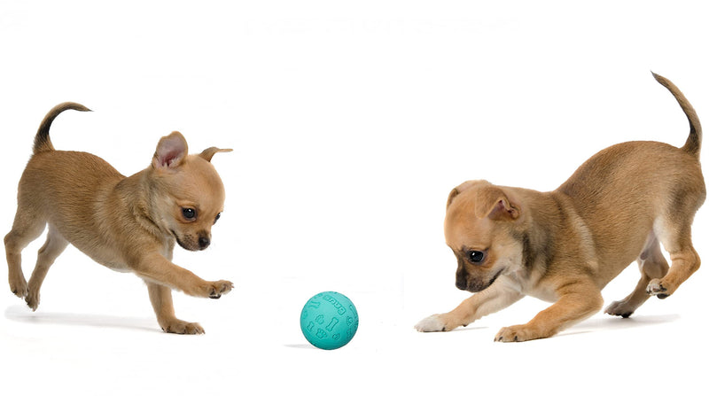 Snug Rubber Dog Balls for Small and Medium Dogs - Tennis Ball Size - Virtually Indestructible (3 Pack - Aqua) - PawsPlanet Australia