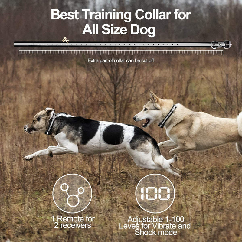 CLEEBOURG Dog Training Collar, Remote Dog Shock Collar Rechargeable Bark Collar with Three Training Modes, Vibration, Shock, Beep, Adjustable Collar Strap for Small Medium Large Dog - PawsPlanet Australia