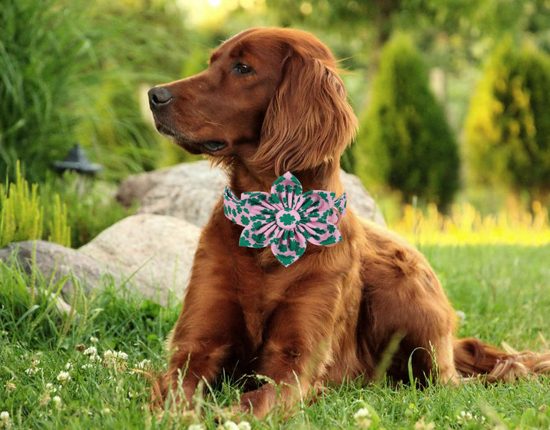 DOGWONG St. Patrick's Day Dog Collar with Bow tie, Green Lucky Clover Shamrock Dog Collar Soft Durable Adjustable Costume Bright Lucky Charm Puppy Collar for Small Medium Large Dog Gift MÔºàPack of 1Ôºâ A: St. Patrick's Clover - PawsPlanet Australia