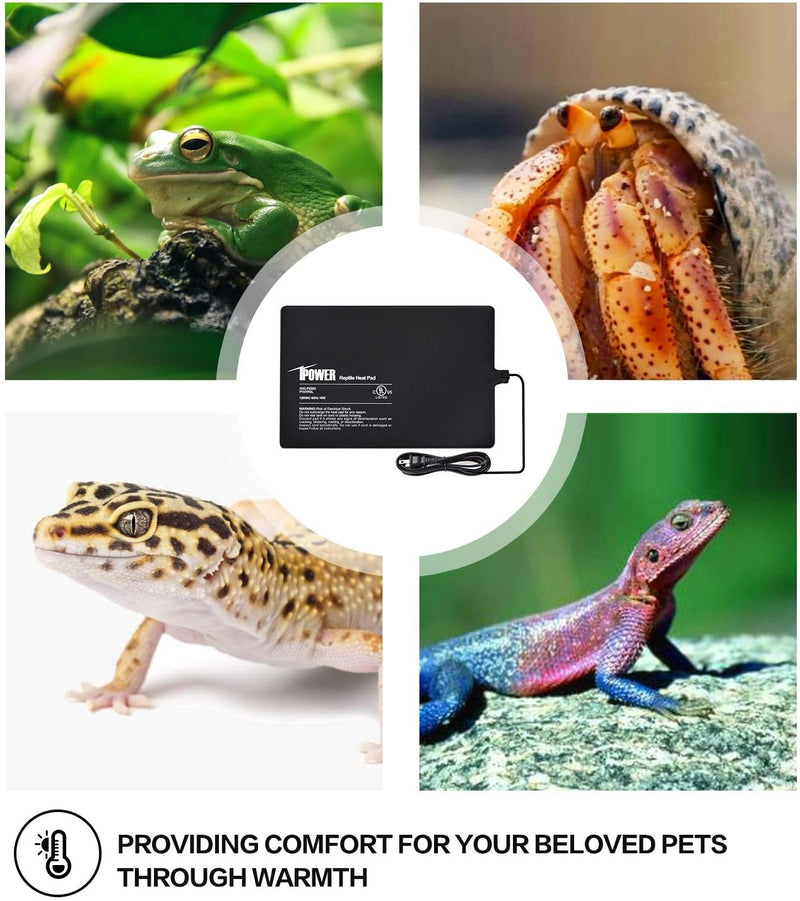 iPower PTHTPDCTRLV2HTPDL 8"x12" Reptile Heating Pad Under Tank Terrarium Heat Mat with Digital Thermostat Temperature Controller for Small Animals - PawsPlanet Australia