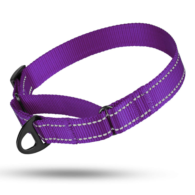 [Australia] - CollarDirect Reflective Martingale Dog Collar Nylon Heavy Duty Training Pet Collars for Small Medium Large Dogs Puppy Pink Orange Black Blue M, Neck Size 13"-18" Purple 