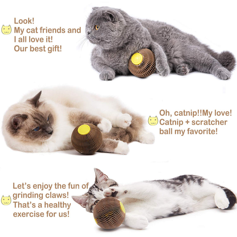 [Australia] - ARELLA Catnip Ball Toy for Cats Catnip Refillable Scratcher Ball Kitty's Faithful Playmate Reduce Obesity and Loneliness CSB01BR 