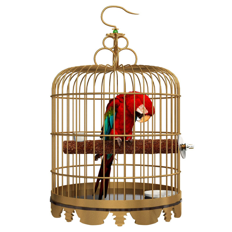 6 Pcs Bird Perch Stand Toy, Wood Parrot Stand Platform Colorful Sand Paw Grinding Stick Cage Accessories Exercise Toys for Cockatiel Conure Budgies Parakeet Lovebird Hamster Gerbil Rat Mouse 6 Pcs - PawsPlanet Australia