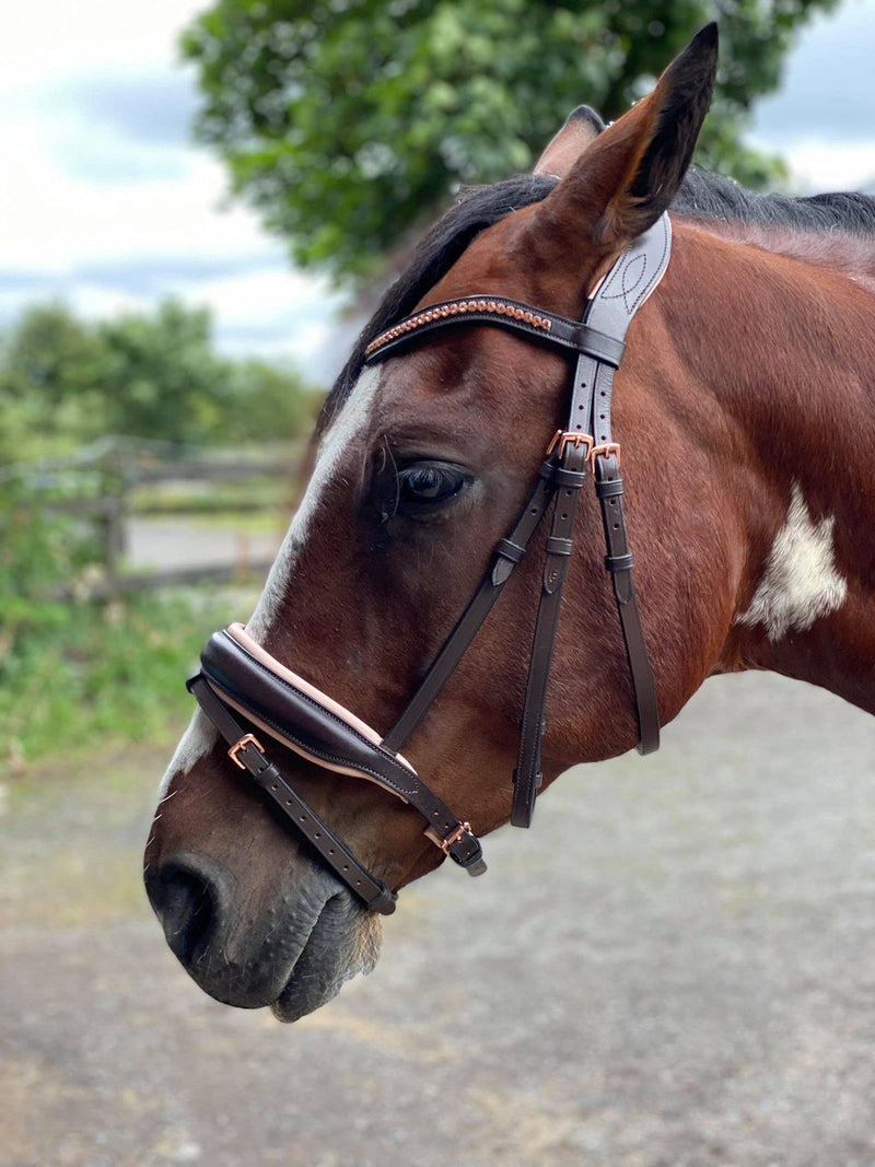 Equipride ANATOMICAL BRIDLE ROSELYN ROSE GOLD DIAMANTE BROWBAND AND BUCKLES BLACK AND BROWN (Pony, Brown) 1 Count (Pack of 1) - PawsPlanet Australia