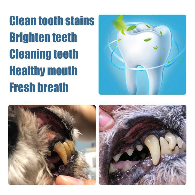 Utapossin Teeth Cleaning Pen for Dogs and Cats, Pet Teeth Whitening Pen, Teeth Whitening Pen for Pets, Dental Care, Pet Teeth Cleaning Pen for Dental Care White - PawsPlanet Australia