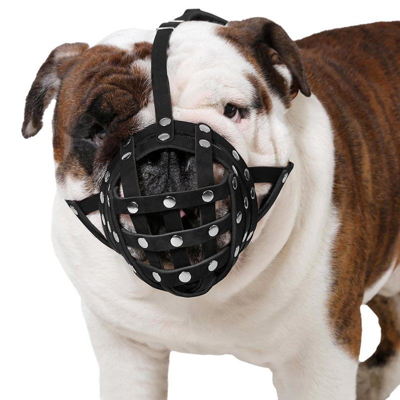 CollarDirect Basket Dog Muzzle for Boxer, English Bulldog, American Bulldog Secure Leather Muzzle Black - PawsPlanet Australia