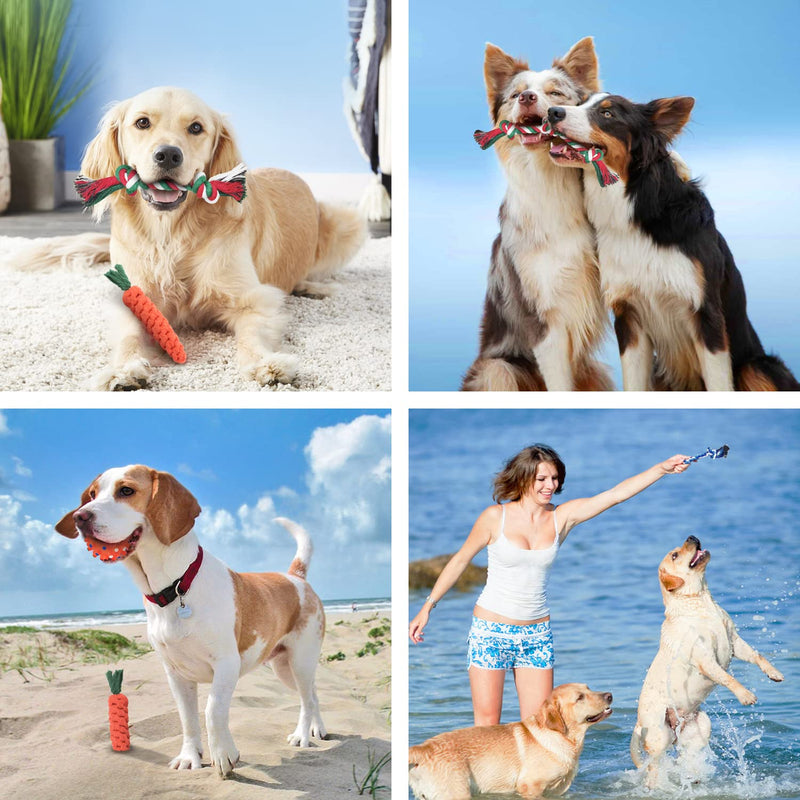 GENPAR dog chew toy, dental training, dog toy rope, puppy toy set, chew toy for small dogs and puppies, 100% natural cotton. (10-piece set) P009 - PawsPlanet Australia