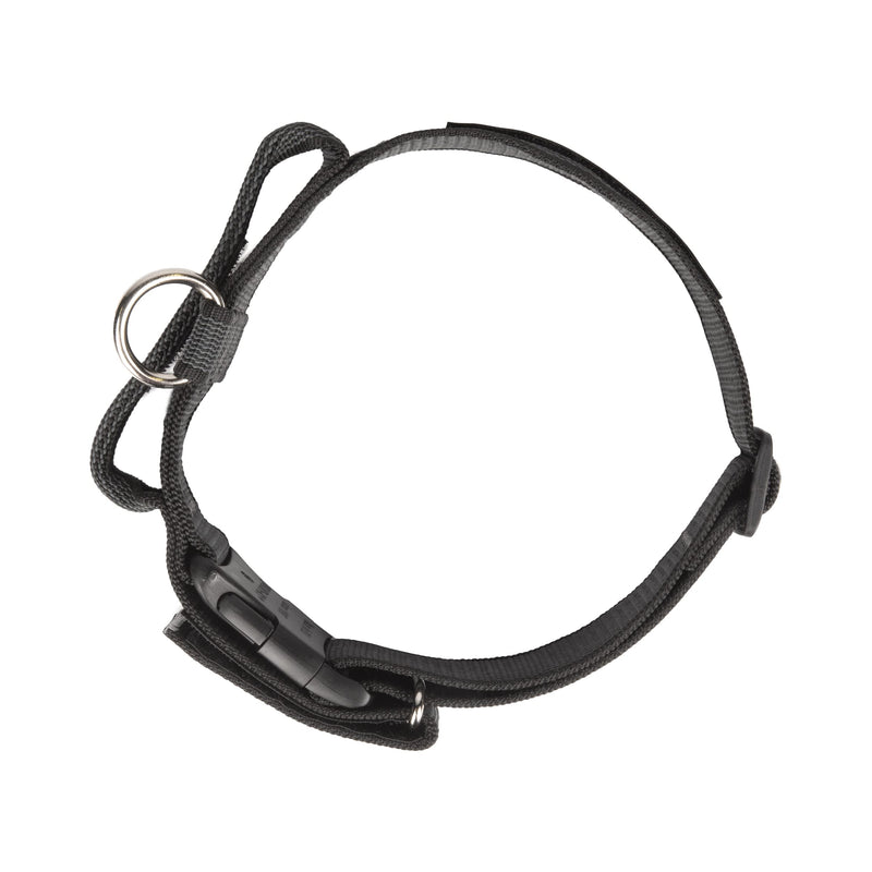 JULIUS K-9, 200HA-K-2015 Color and Gray series K9 collar with handle, safety clasp and logo and safety clasp, 50 mm x 49-70 cm, adjustable, black-gray 50 mm (49-70 cm) black- Gray - PawsPlanet Australia