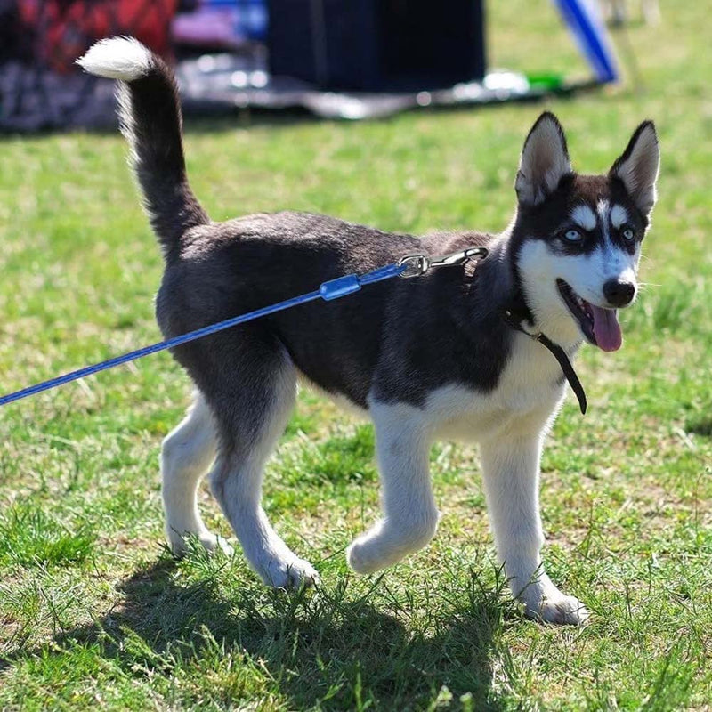 Yard Leash, 3m/5m Dog Leash for Dogs, Cable Leash Tension Lead with Shock-Absorbing Spring for Medium and Large Dogs Camping, Garden, Running, Outdoor Park Blue Diameter 5mm/0.2", Length 5m/16ft - PawsPlanet Australia