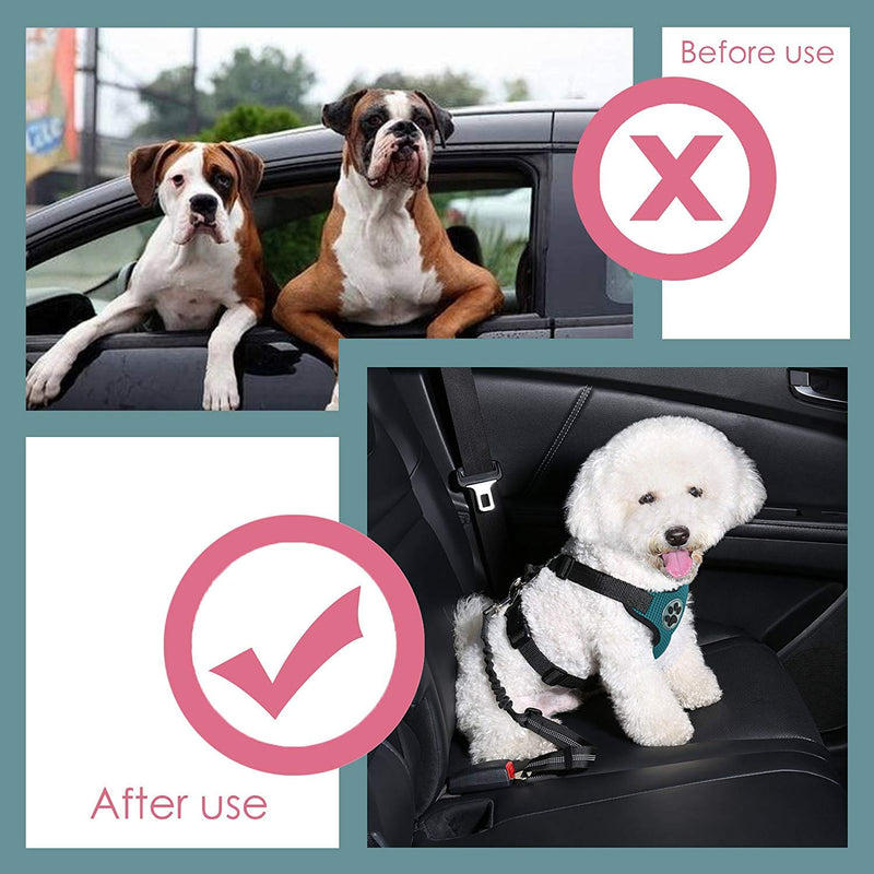 Lukovee Double Dog Seatbelt, Dual Pet Car Seat Belt Adjustable Double Dog Coupler Lead with Elastic Bungee and Reflective Stripe Black - PawsPlanet Australia