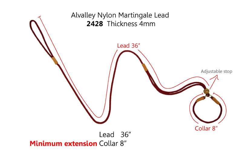 [Australia] - Alvalley Nylon Martingale Show Lead for Dogs 4mm X 42in x 8in Collar Gold 