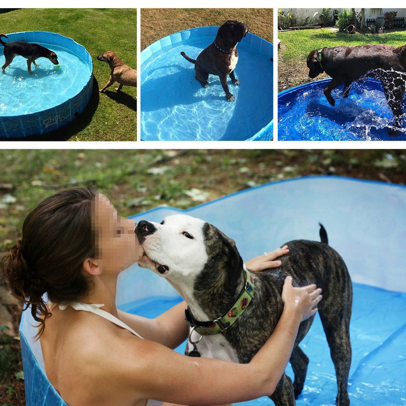 ALL FOR PAWS Chill Out Splash and Fun Dog Pool, Medium, 9.5507 kg - PawsPlanet Australia