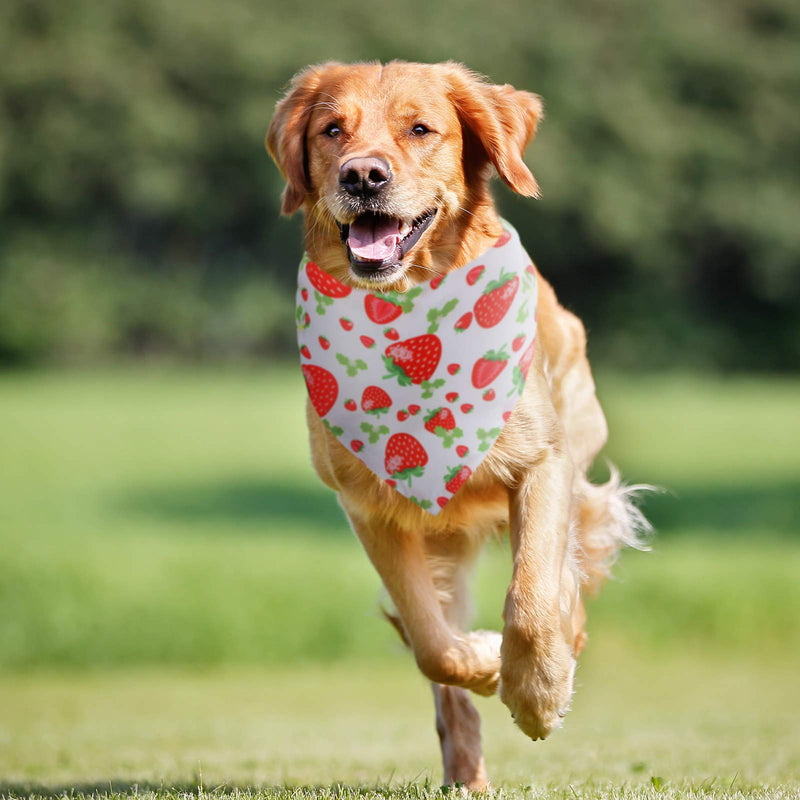 12 Pieces Dog Bandana Scarf Washable Triangular Bibs Pet Summer Flamingo Fruit Print Adjustable Washable Kerchief Hawaii Dog Bandana for Small and Large Dogs (Fruit and Leaves Patterns) Fruit and Leaves Patterns - PawsPlanet Australia