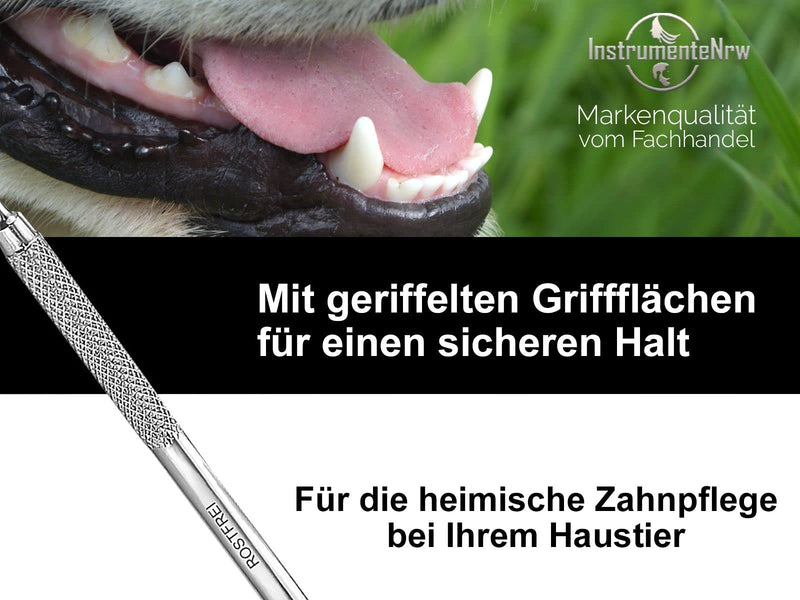 Dog Tartar Remover Set Scaler Tooth Cleaner for Pets Toothbrush Replacement Made of Stainless Steel Teeth Cleaning Dental Care Tartar Scraper (Type 26) Type 26 - PawsPlanet Australia
