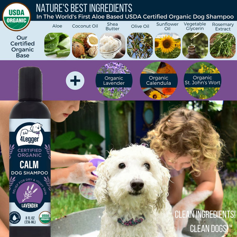 [Australia] - 4Legger Calm All Natural Lavender Dog Shampoo - USDA Certified Organic Dog Shampoo with Shea Butter for Dry Itchy Skin - Calming and Hypoallergenic for Sensitive Skin - Concentrated - USA - 8 oz 