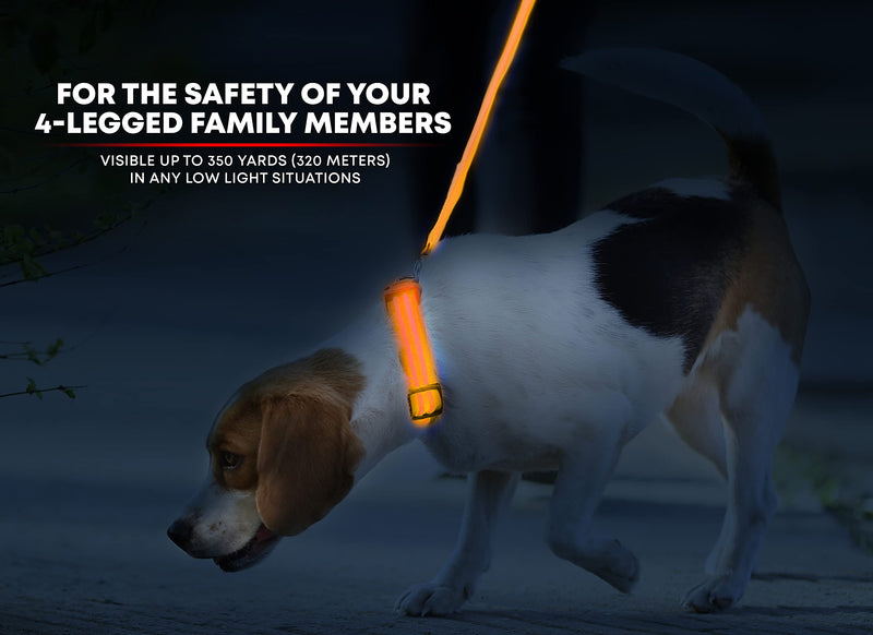 ILLUMISEEN LED Dog Collar - USB Rechargeable - Available in 6 Colours & 6 Sizes - Makes Your Dog Visible, Safe & Seen - Orange, X-X-Small (8.6 – 11.4” / 22 – 29cm) Bright Orange XX-Small (XXS) - 22 - 29 cm - PawsPlanet Australia