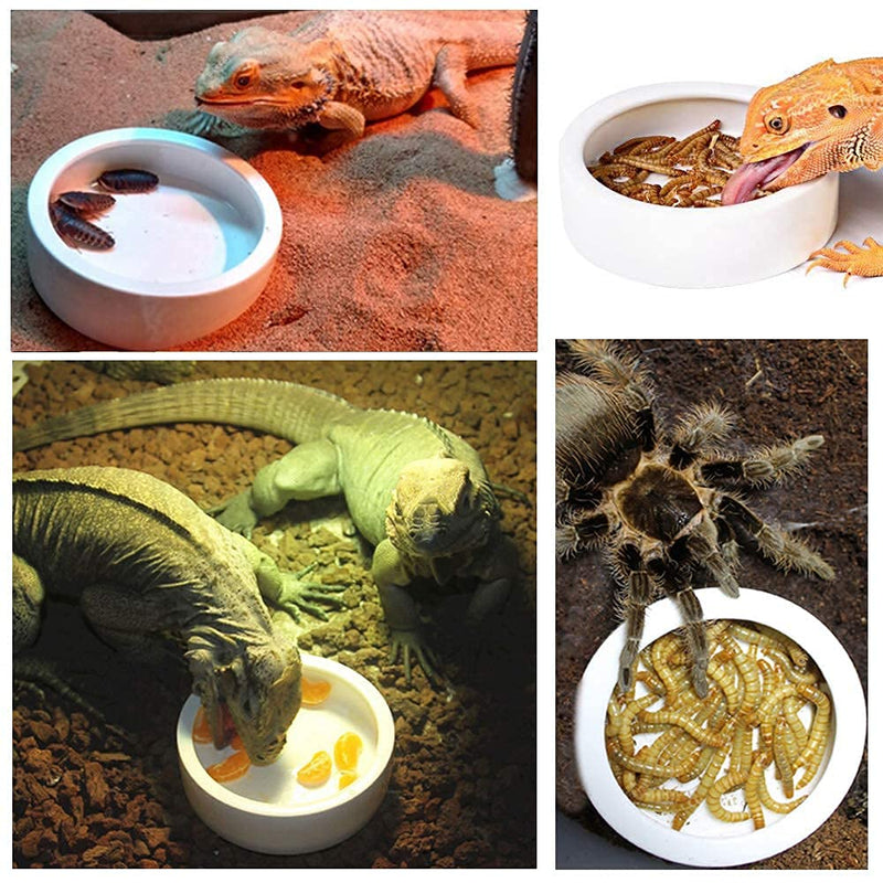TDPET Ceramic Mini Reptile Worm Dish - Lizard Escape Proof Feeding Bowl Circular Small-1Pack Orange - PawsPlanet Australia