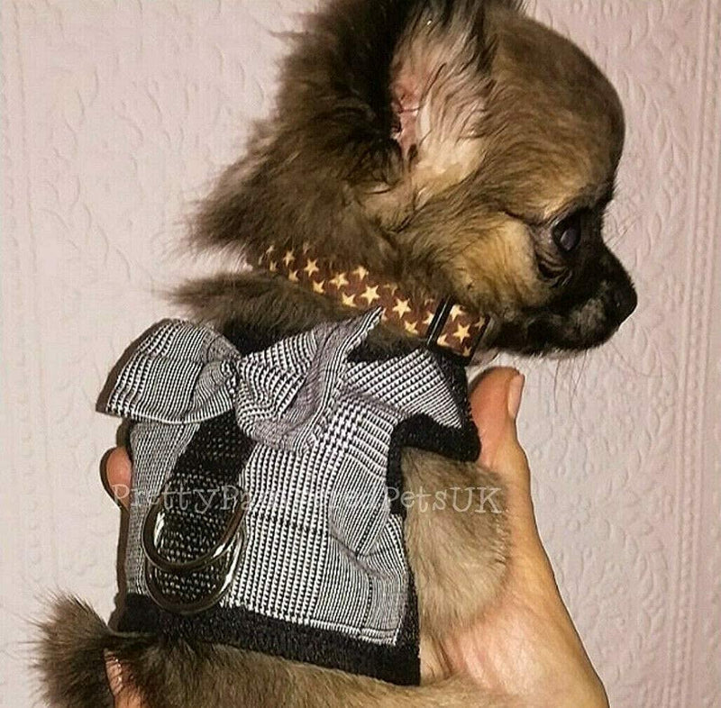 Gingham Suit With Bow Fashion Chihuahua Harness Tiny Toy Teacup XXXXS XXXS Size Puppy Dog Harness Teacup Kitten Puppy Dog Coat SUPER Tiny Clothing Clothes (XXXXS- XXXS- Colour as shown) XXXXS- XXXS - PawsPlanet Australia