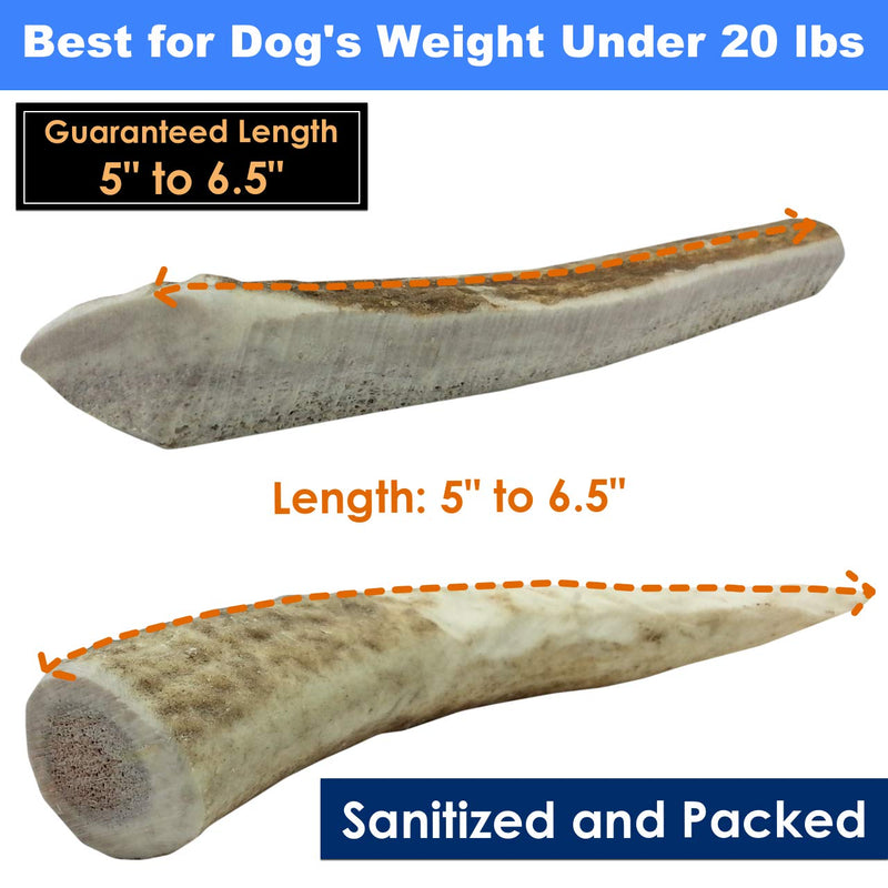 [Australia] - Deluxe Naturals 1-LB Pack Antlers for Dogs, Grade A Premium Naturally Shed Elk Antlers for Dogs, Product of USA 1-Pound Small 