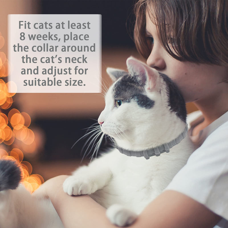 BINGPET Flea and Tick Collar for Cat - 8 Month Protection Adjustable Collar- Best Flea Control Treatment for Kitten - PawsPlanet Australia