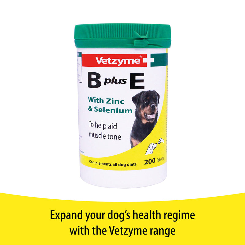 Vetzyme | Conditioning Dog Supplements, Promotes Health & Vitality | Supports Immune System | Nutritional Savoury Treat (100 Tablets) 100 Tablets - PawsPlanet Australia