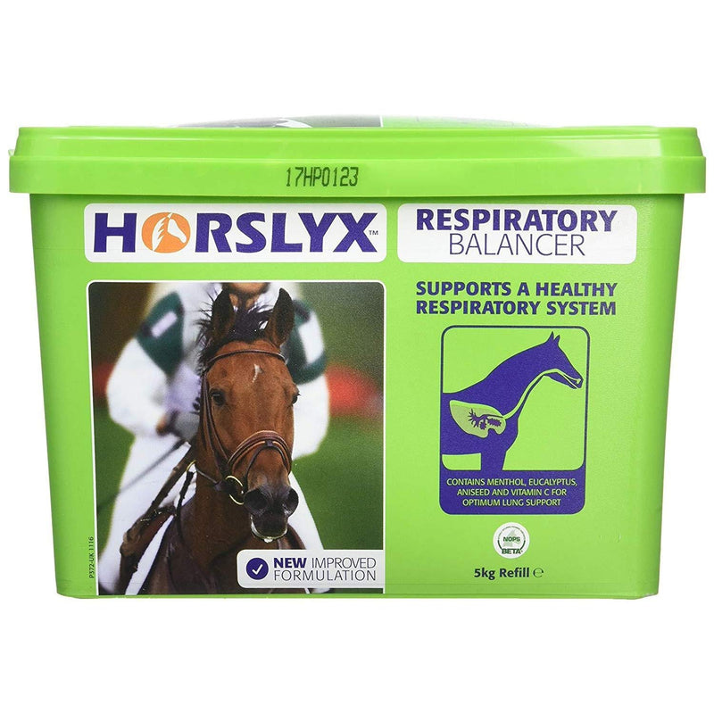 Horslyx Refill Horse Lick (5 kg) (Mint) - PawsPlanet Australia