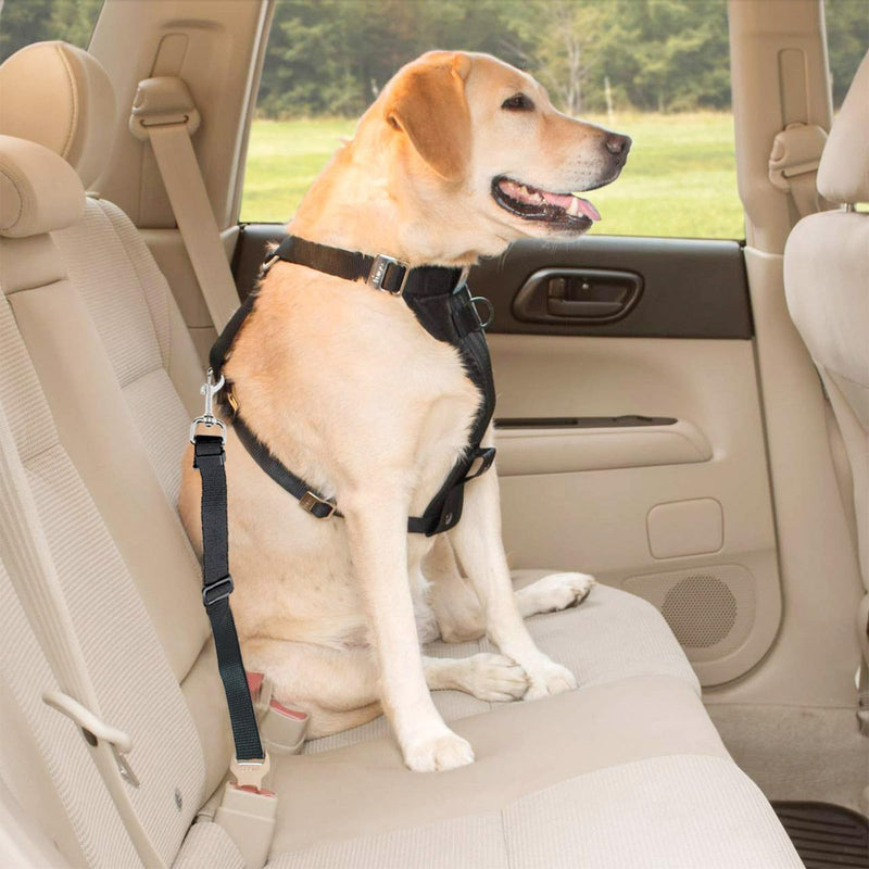 1 piece seat belt for dog car, dog belt for the car, dog seat belt for the car, dog harness car, car belt for dogs, dog belt for car back seat, dog belt for car back seat, for dogs, cats, nylon material - PawsPlanet Australia