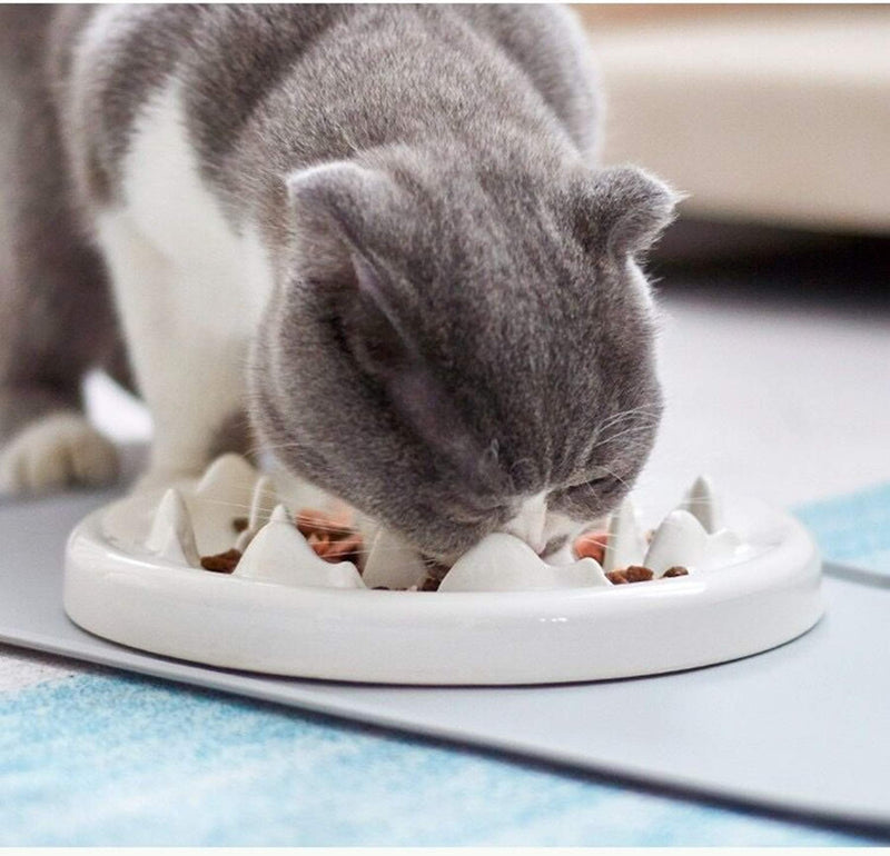 Slow Feeder for Cat Small Dog Food Bowl Melamine Puzzle Feed Dish - Preventing Feeder Anti Gulping Healthy Eating Diet Green - PawsPlanet Australia