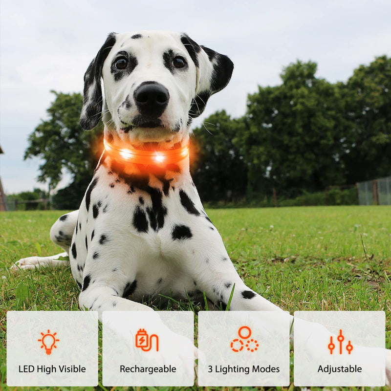 Dog Collar Luminous Collar Waterproof Light Up LED Dog Collar USB Rechargeable Flashing Reflective Dog Collars Adjustable Robust for Large Medium Small Dogs, Orange-L L (48-60cm, 2.5cm) - PawsPlanet Australia