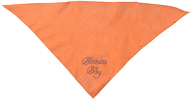 [Australia] - Mirage Pet Products Birthday Boy Rhinestone Bandana Large Orange 