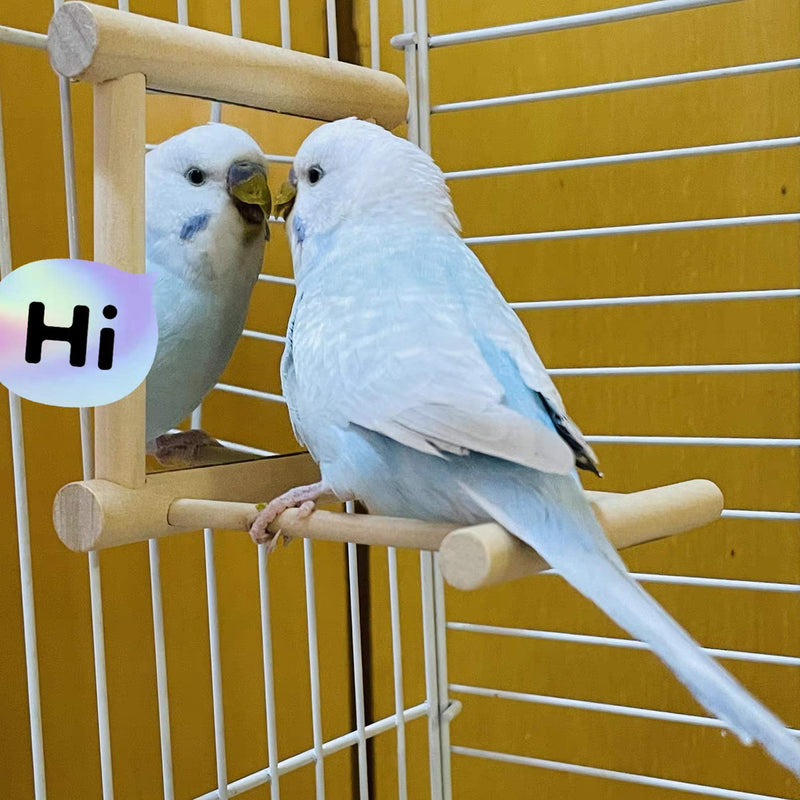 Bird Toy for Parrot Parakeets Conures Cockatiels Cage Swing Wooden Mirror Fun Play Toy for Birds - PawsPlanet Australia