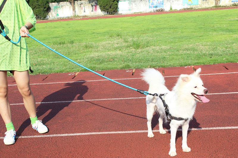 [Australia] - BAAPET 6 FT Strong Dog Leash with Comfortable Padded Handle and Highly Reflective Threads Dog Leashes for Small Medium and Large Dogs Blue 